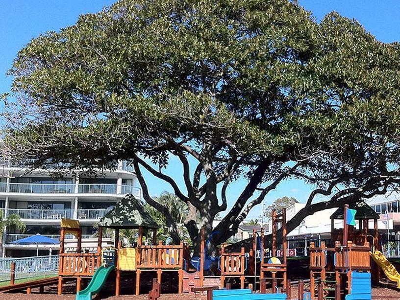 Moffat Beach Motel Caloundra Kültér fotó